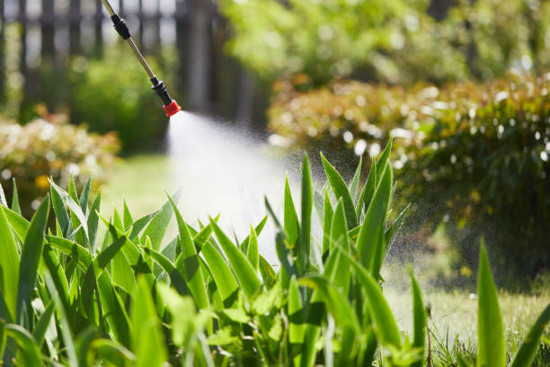 24/7 Emergency Fumigation Services experts in Wautoma, WI